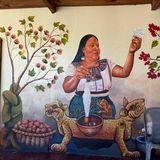 Ana Chávez