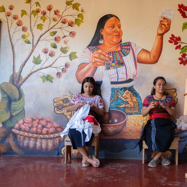 Cómo llegan nuestros productos al mundo